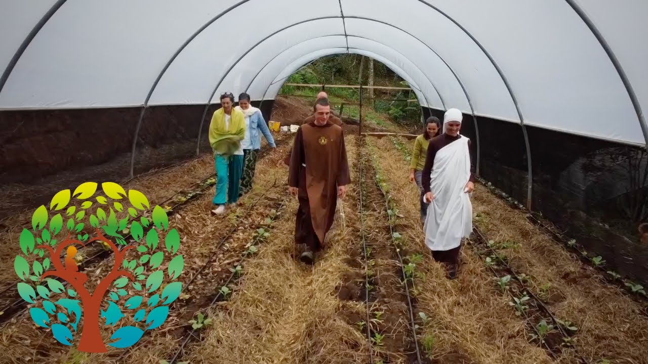 Serie Comunidades-Luz: Capítulo 3 - Comunidad-Luz Nueva Tierra (19/05/2024)