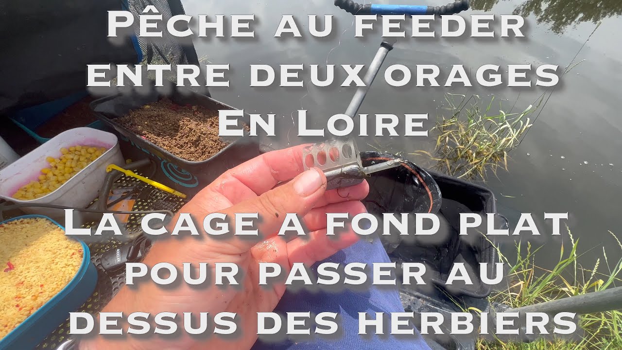 Pêche de BREMES, GARDON et ABLETTES au FEEDER dans la LOIRE à BALBIGNY, les orages d'été sont là