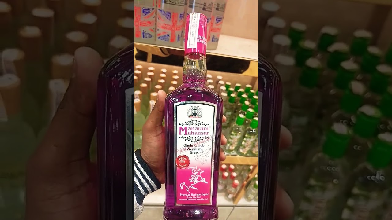 R&oacute;ża premium maharani mahansar shahi gulab
