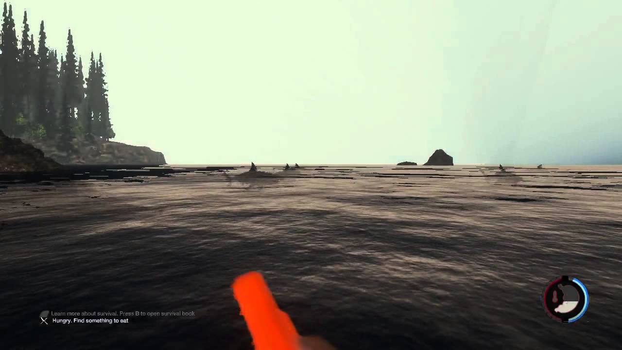 the forest-lets kill a shark