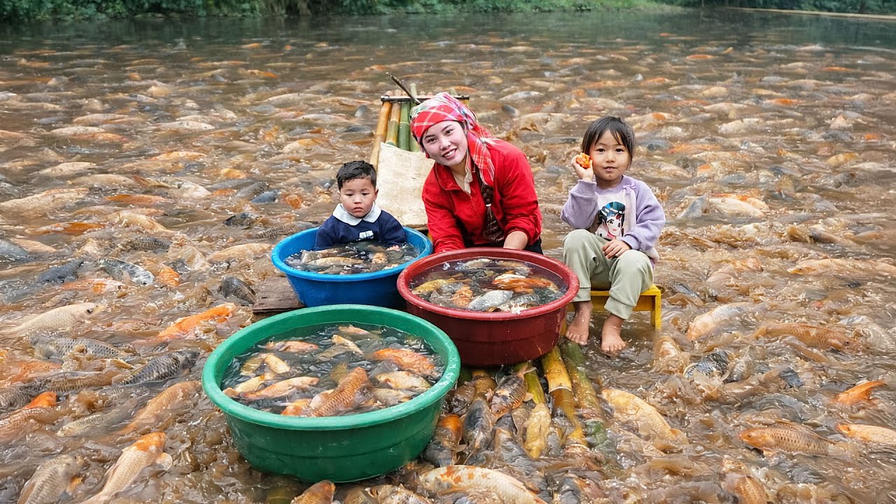 How To Catch Fish On A Bamboo Boat With The Children –Taking Carp And Tilapia To The Market To Sell