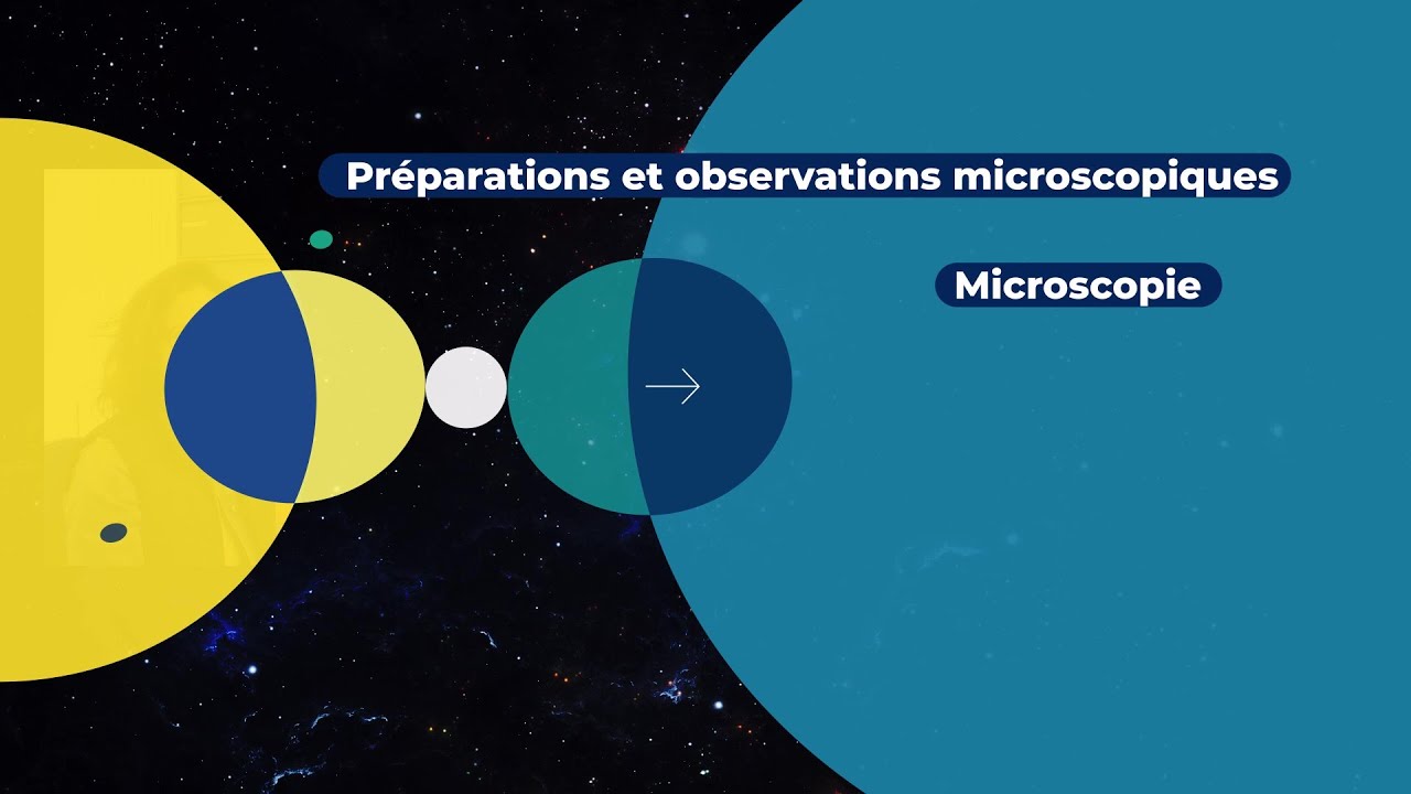 Préparations & observations microscopiques - Microscopie