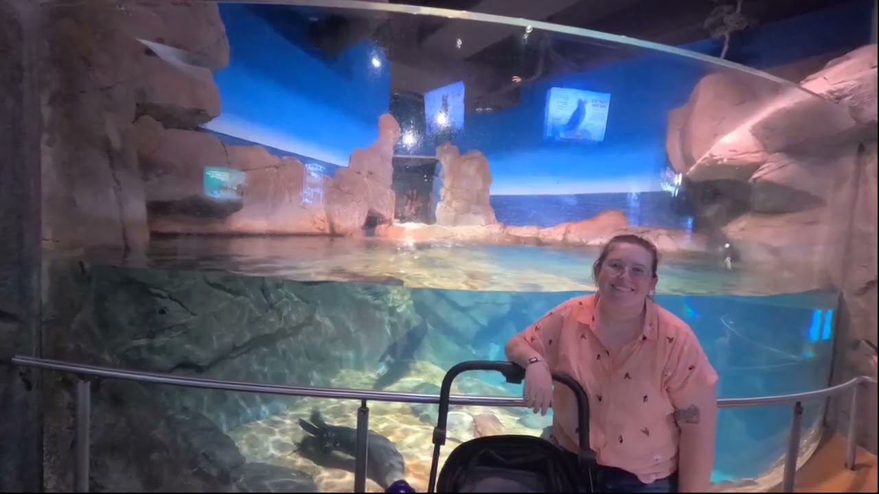 Georgia Aquarium, great experience. Making the video, terrible experience. Its still not correct. 