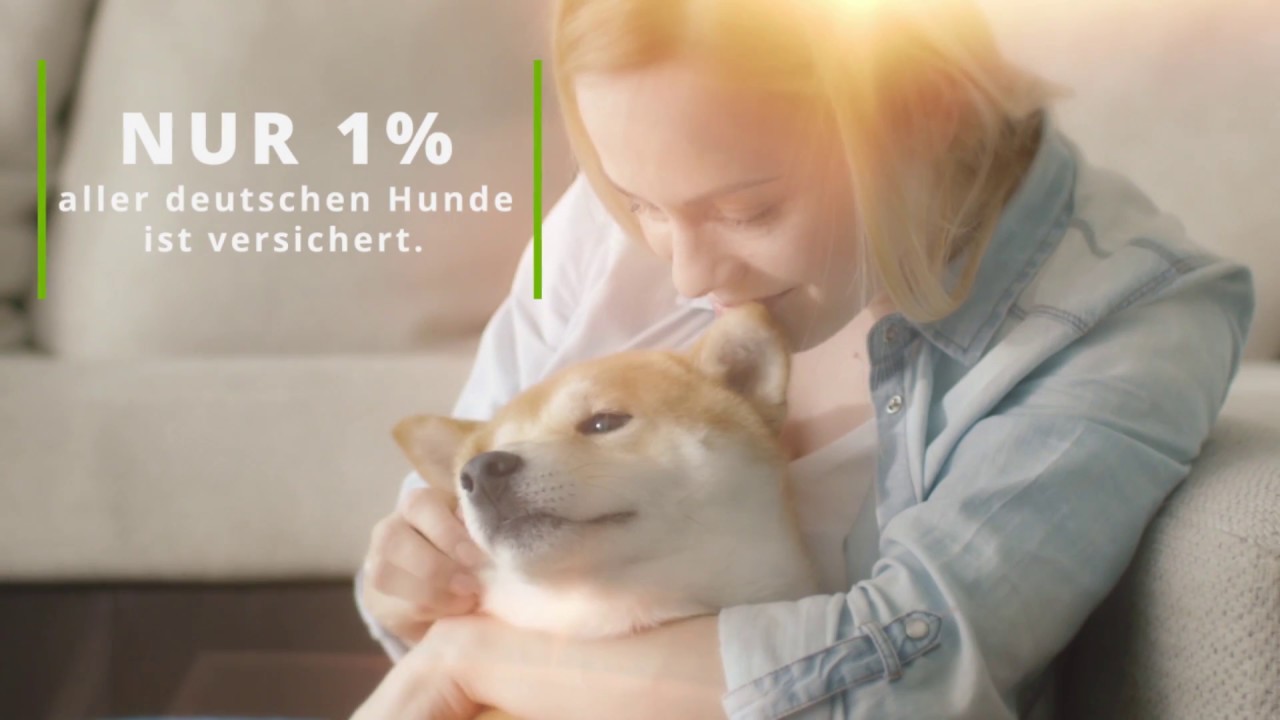 Hundekrankenversicherung, Hunde-OP Versicherung - Erklärvideo
