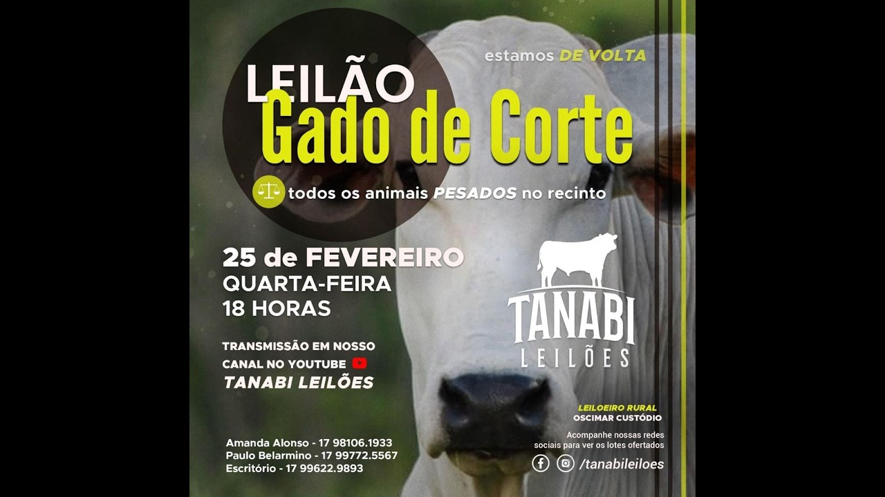 Tanabi Leilões - AO VIVO - 25/02/2026 LINK 2