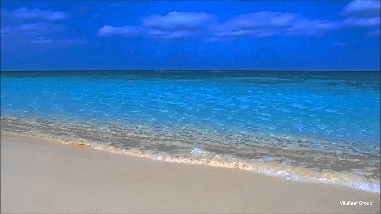風鈴の音色と波の音【作業用・勉強用BGM】/NATURE SOUNDS/Sea and wind Chimes