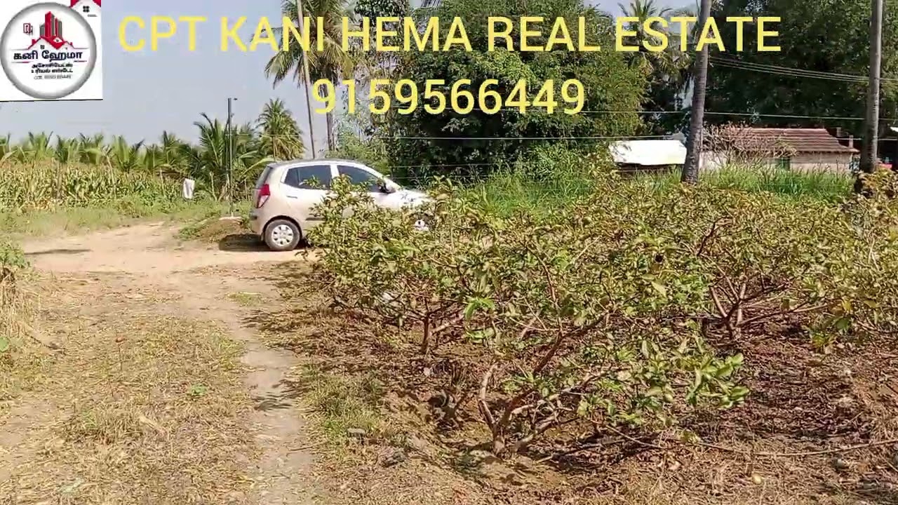 (9159566449) பழனி கணக்கன்பட்டி அருகே  2ஏக்கர் 85 சென்ட் தென்னந்தோப்பு மற்றும் கொய்யா தோப்பு விற்பனை 