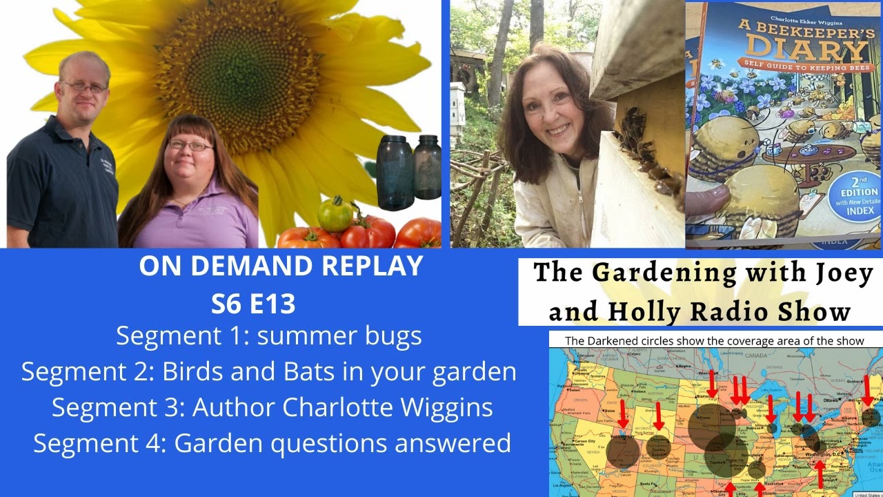 Audio S6E13 Summer Bugs, Birds & bats, guest Charlotte Wiggins -The Gardening  radio show