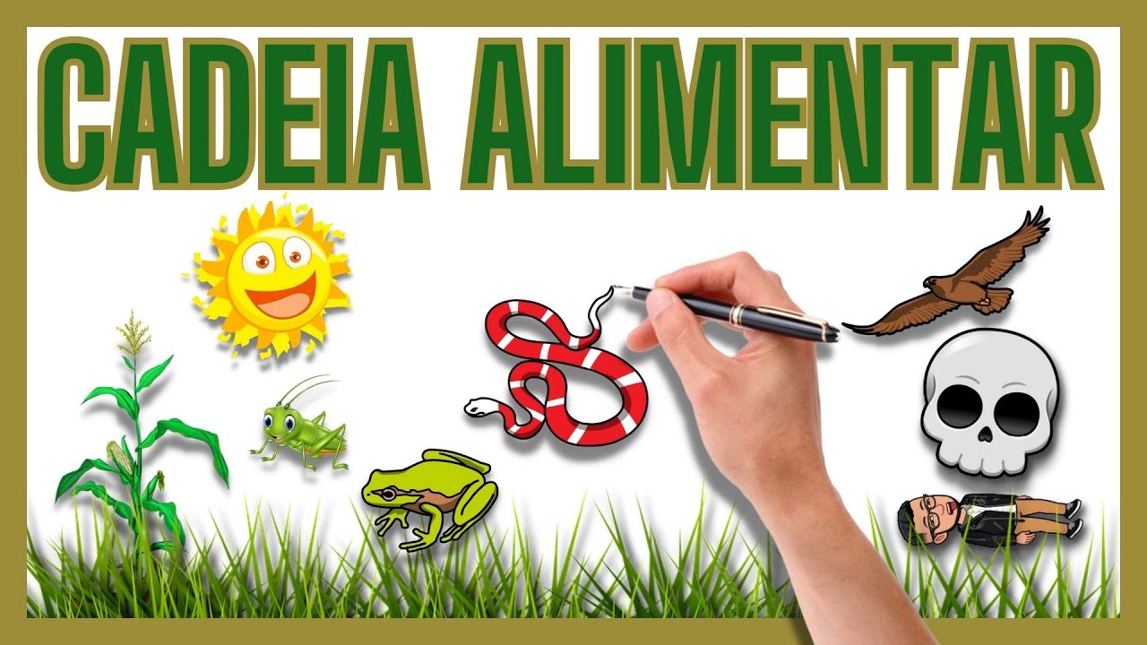 CADEIA ALIMENTAR - PRODUTORES CONSUMIDORES PRIM&Aacute;RIOS SECUND&Aacute;RIOS TERCI&Aacute;RIOS... E DECOMPOSITRES -