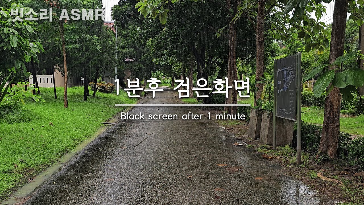 불면증 완화를 위한 아무도 없는 한적한 공원의 부드러운 빗소리 ASMR - 1분후 검은화면, 블랙스크린