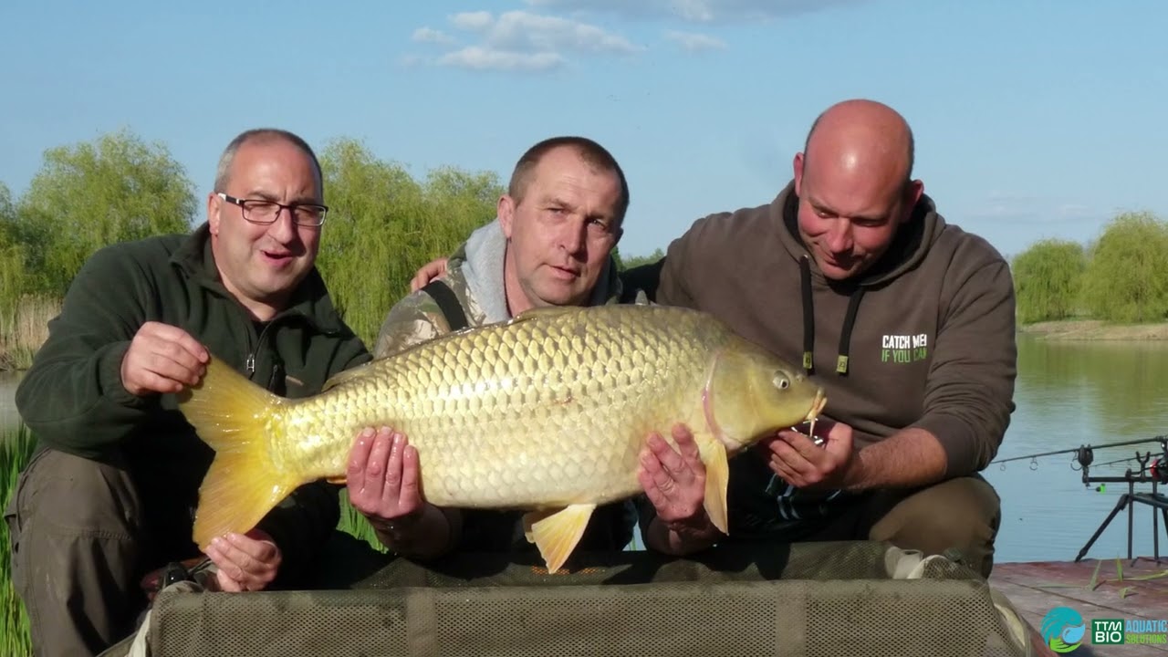 TTM-BIO csalikkal a Fish Aréna horgásztavon