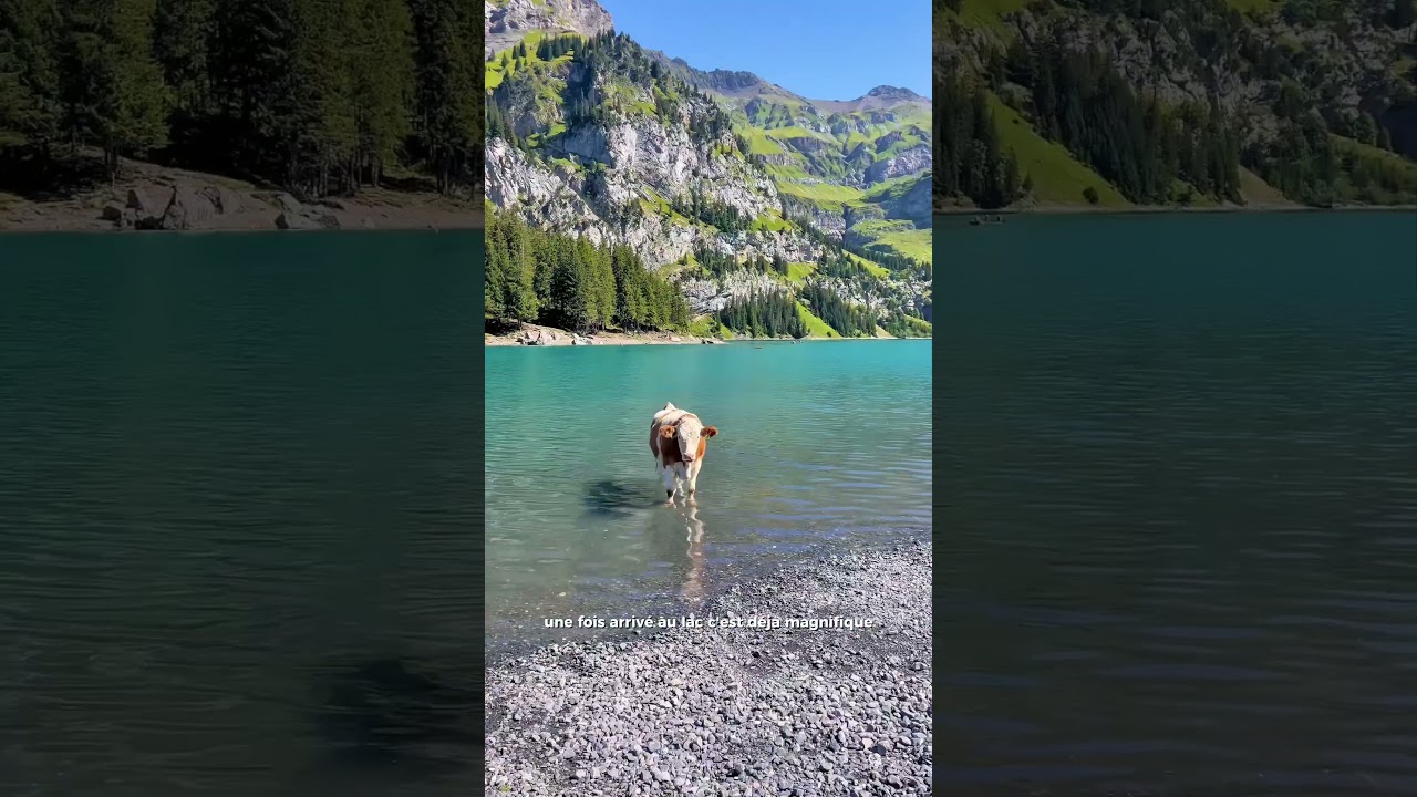 La randonn&eacute;e proche de la France a faire absolument #bonplanvoyage #randonnee #suisse #oeschinen