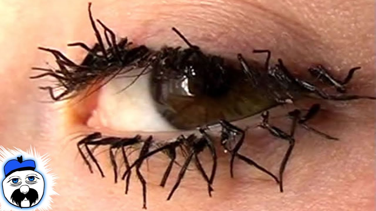 15 Ungodly Spiders That Shouldn't Exist
