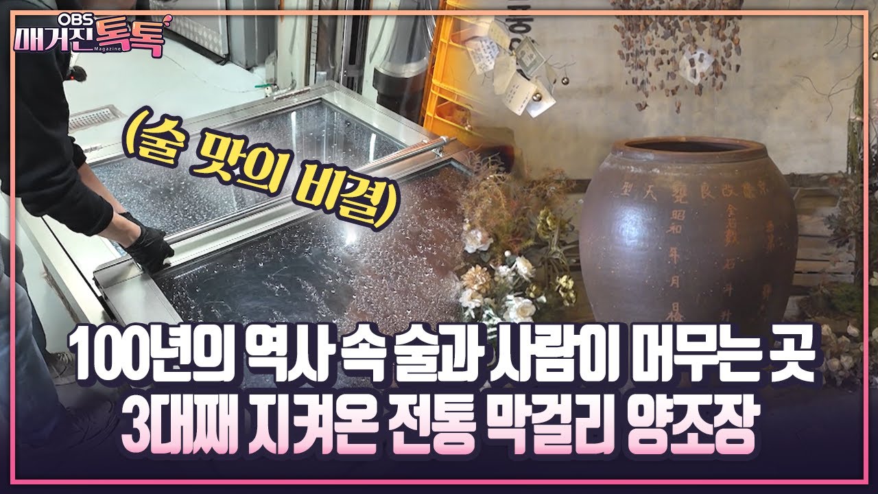 [매거진 톡톡] 100년의 역사 속 술과 사람이 머무는 곳 3대째 지켜온 전통 막걸리 양조장