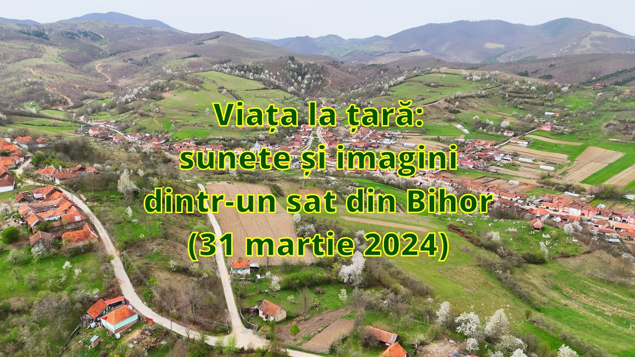 Viața la țară, sunete și imagini dintr-un sat din Bihor