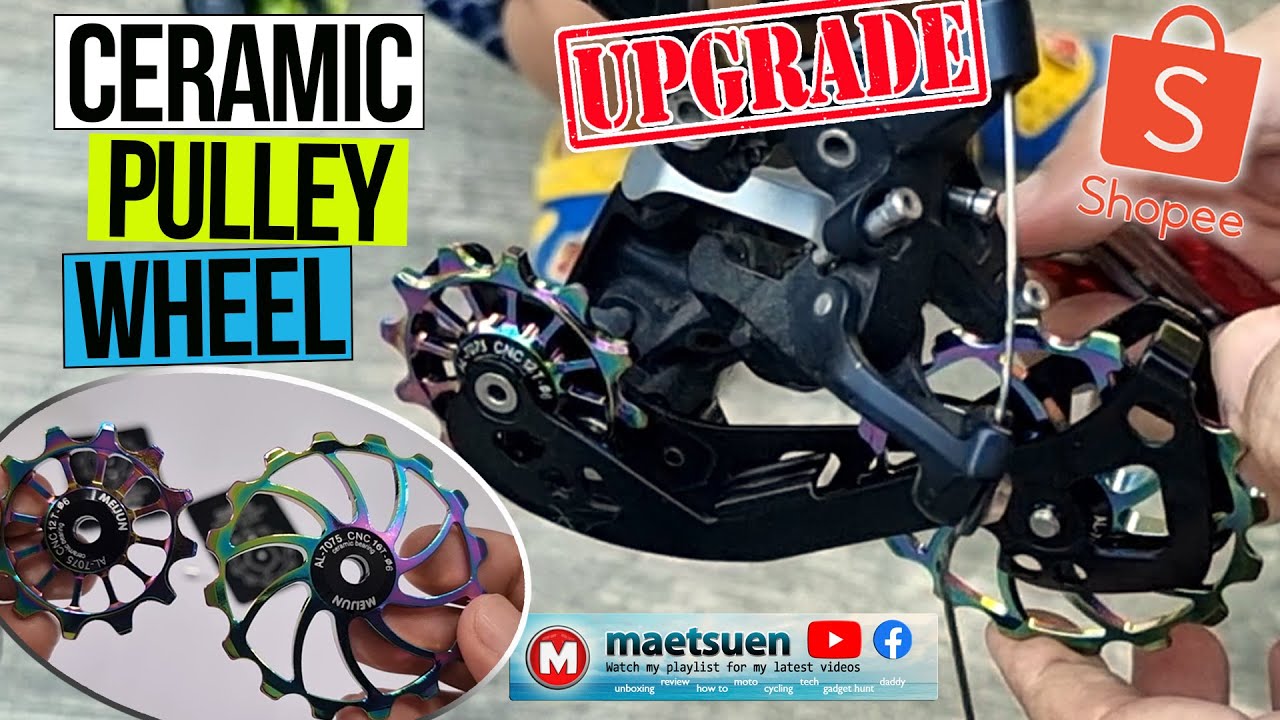 Ceramic Bearing Pulley Wheel from Shopee