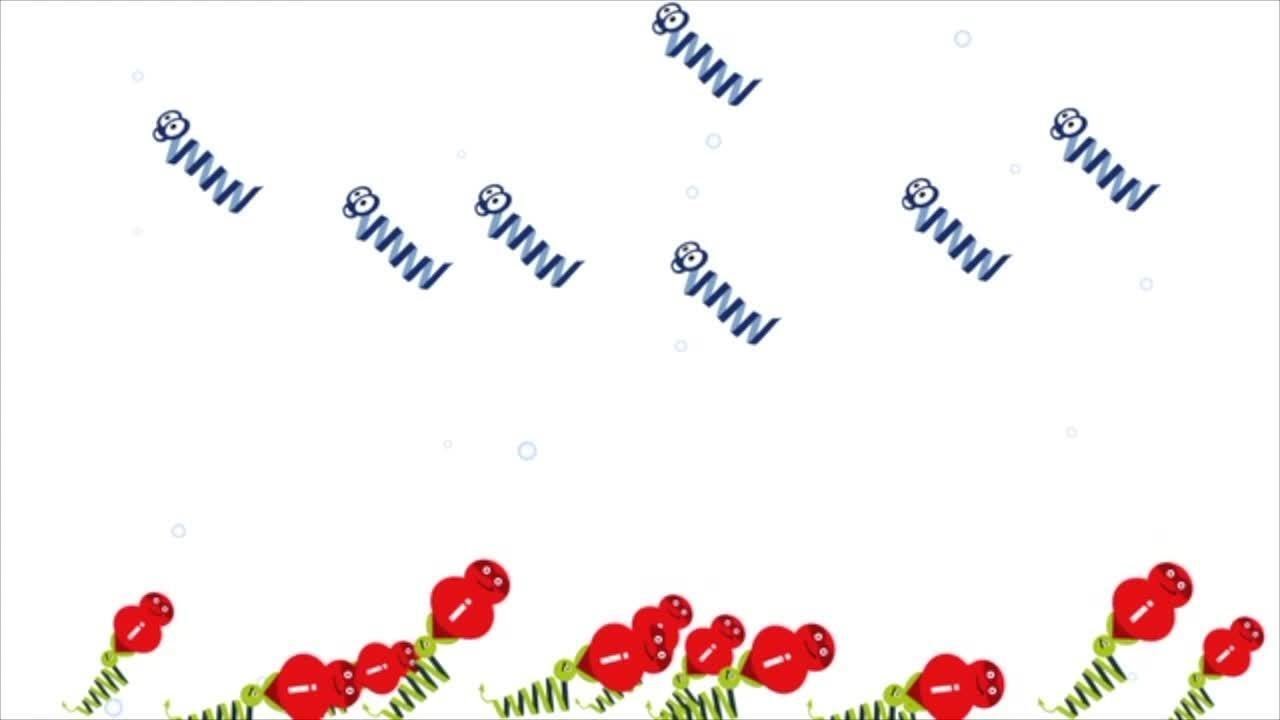 Watch the new Pierce Inhibitor tablet formulations STOP unwanted protease activity