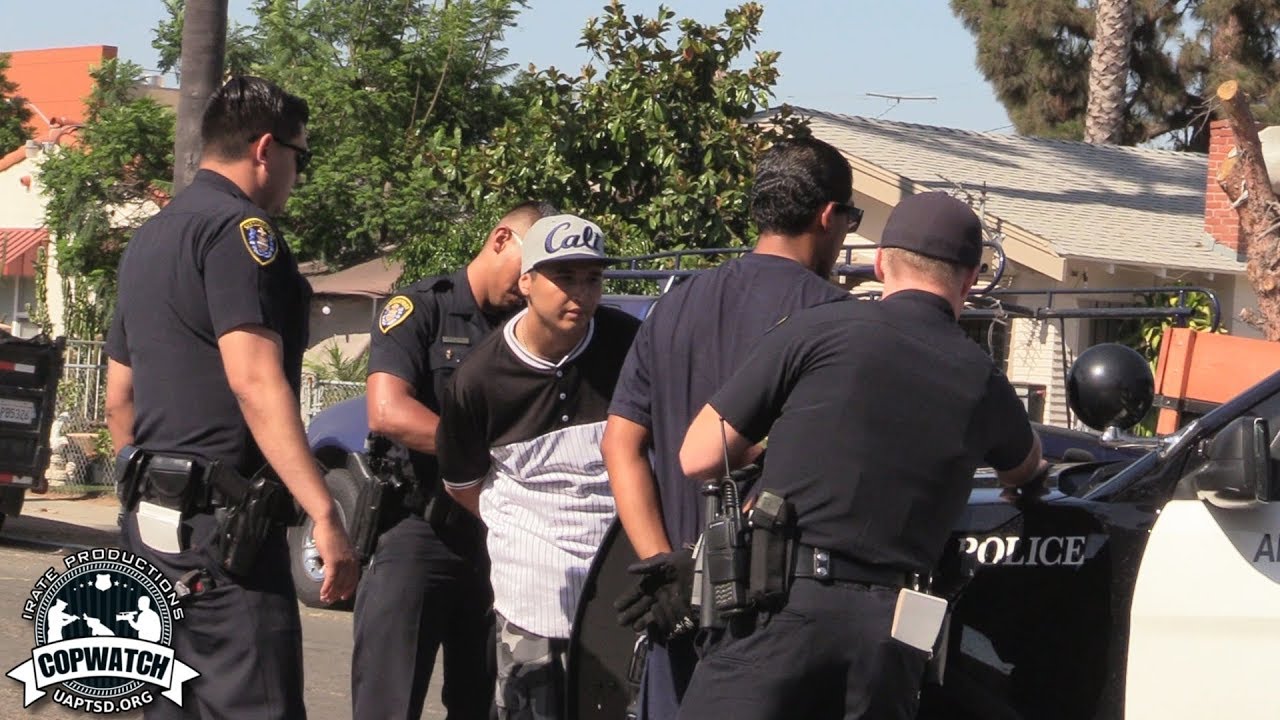Copwatch | Report of 7 People Fighting in the Street | 3 Detained & Released