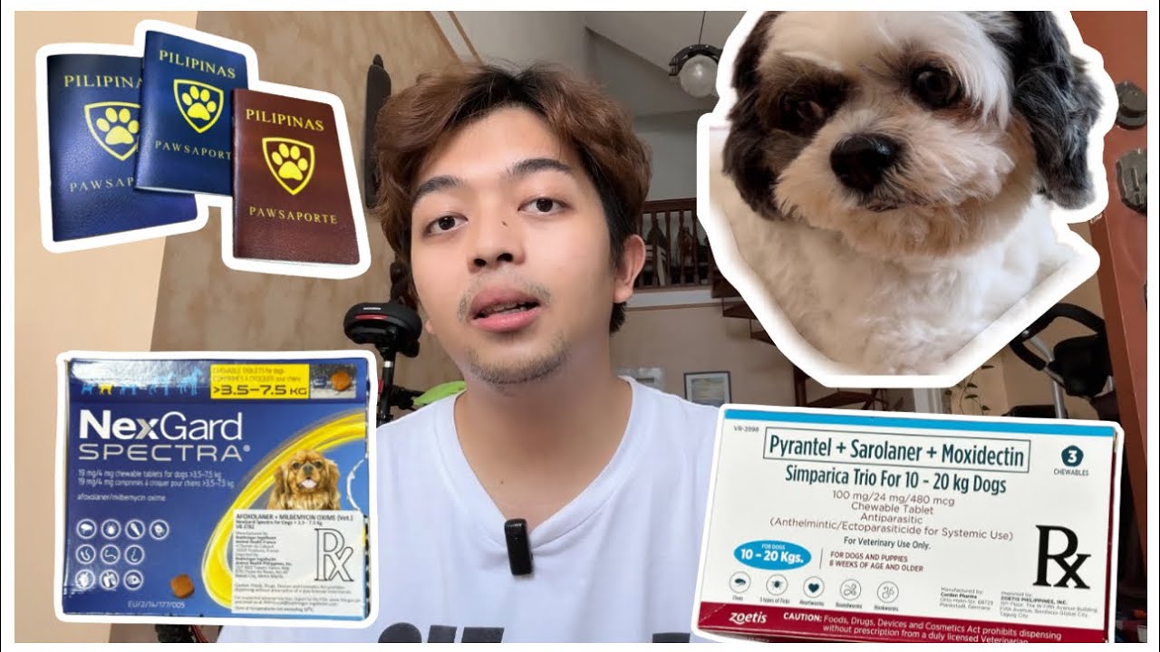 Why my dogs switched from Bravecto to Nexgard spectra & Simparica trio