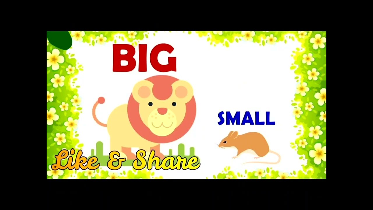Topic - Big and Small | Educational video for kids | Maths video for kids 