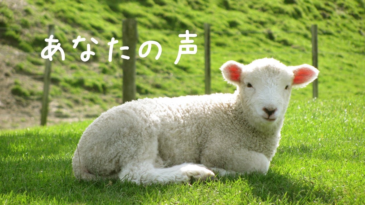 あなたの声 (Official Lyric Video) - Ruah Worship
