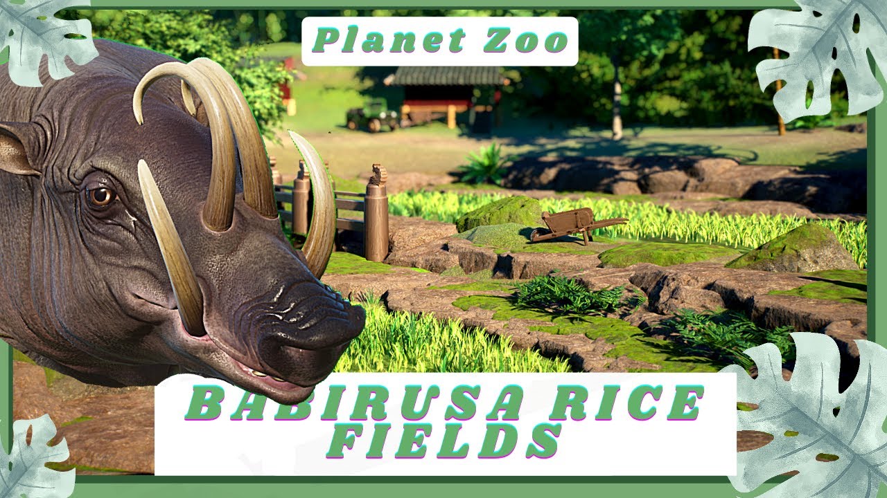 Babirusa Rice Fields! - Planet Zoo Southeast Asia DLC Speedbuild