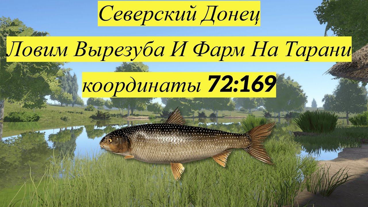 Русская рыбалка 4 • рр4 • RF4 • Ловим Вырезаба И Тарань + Состязания с призами
