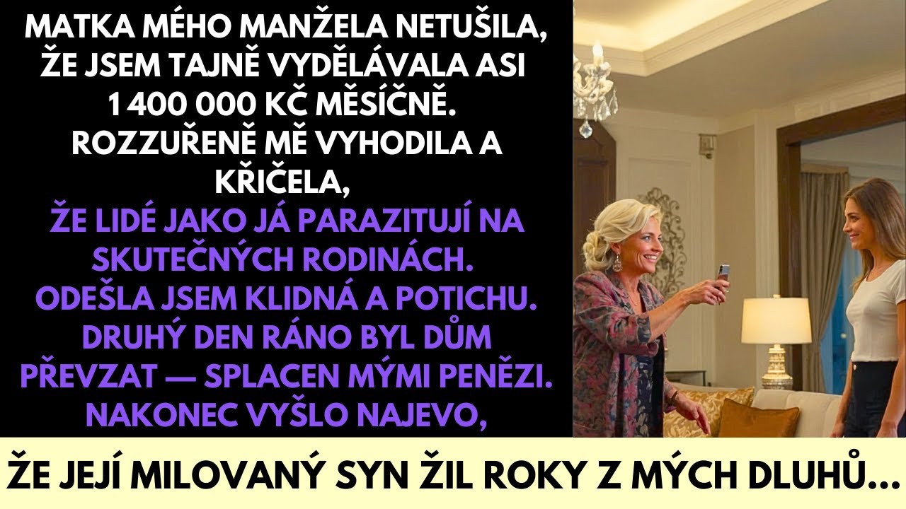 Tchyně Mě Nazvala Parazitem—Netušila, Že Tajně Vydělávám $60K/Měsíc