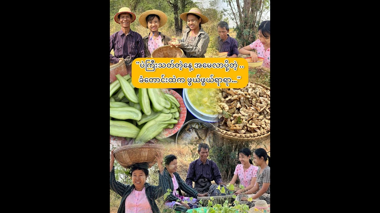 “အမေလာပိုတဲ့ ဖွယ်ဖွယ်ရာရာ နေ့လယ်စာ..”
