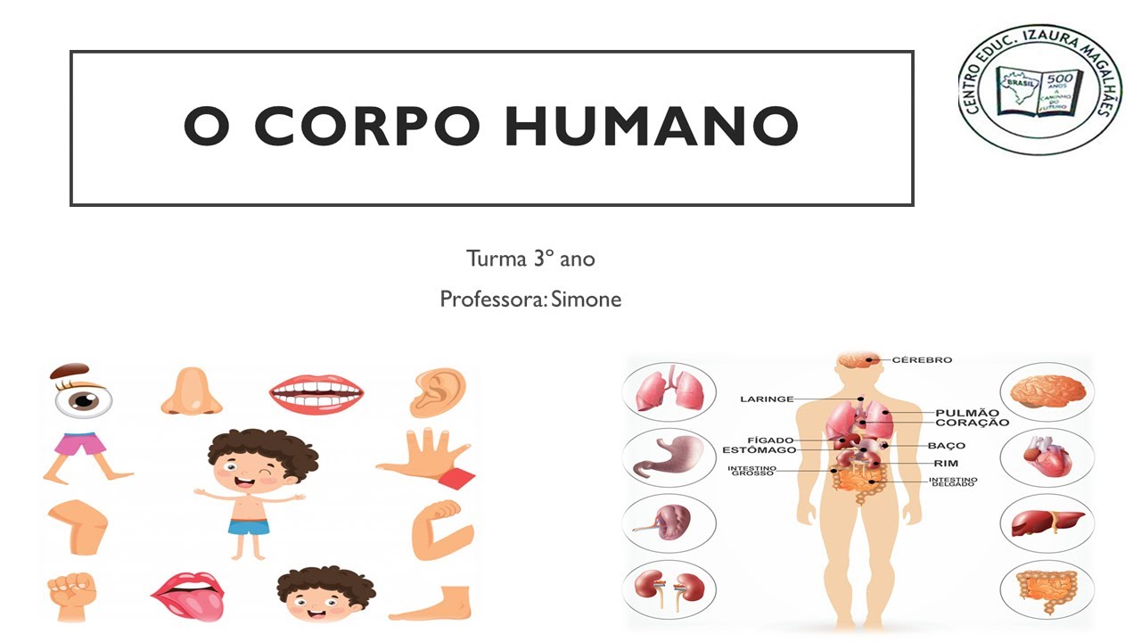 O Corpo Humano - Turma 3º ano