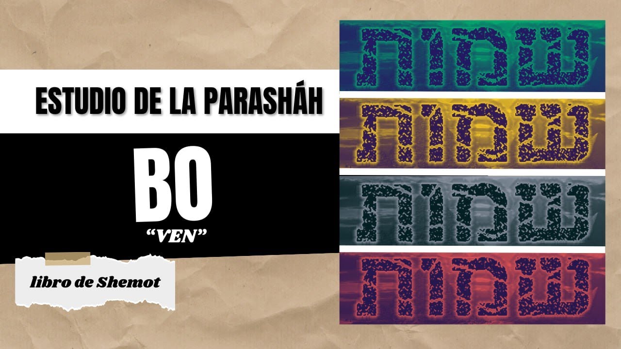 Estudio de la Parashá 15 - BO - EMC SHALOM EUROPA - 5786