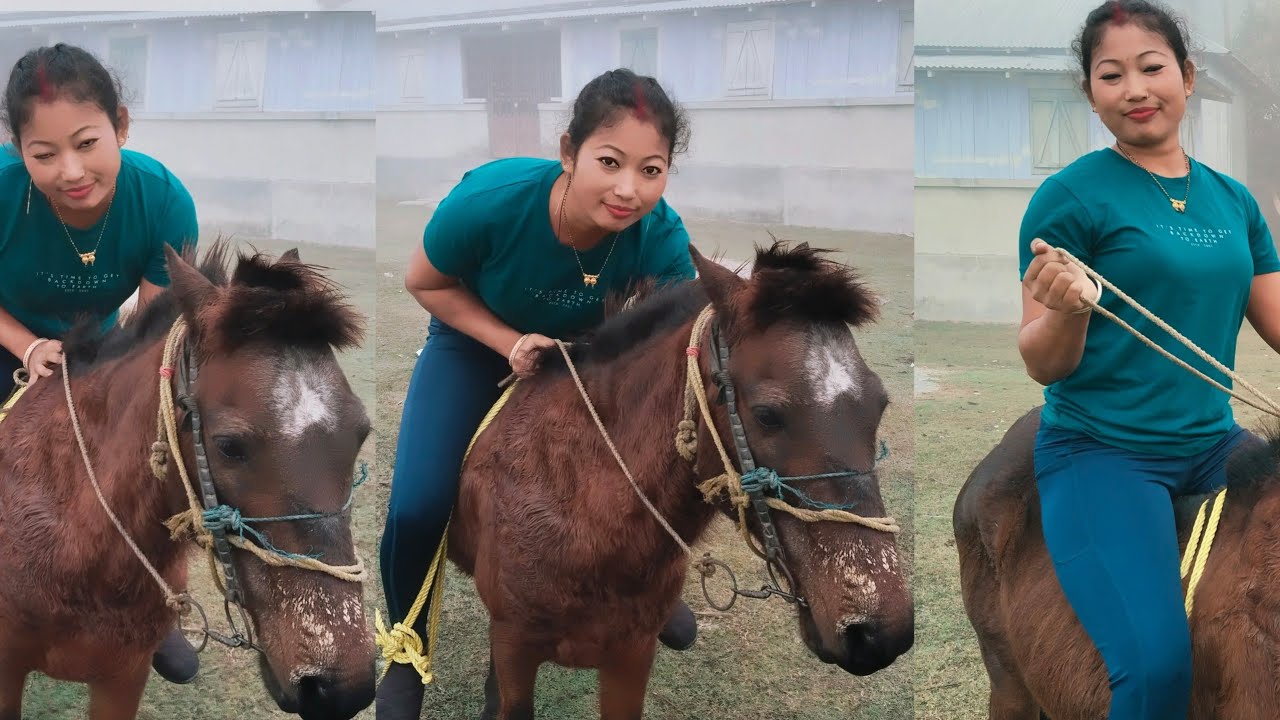 horse riding pony | new look horse riding | गोड़ा सवारी 😍