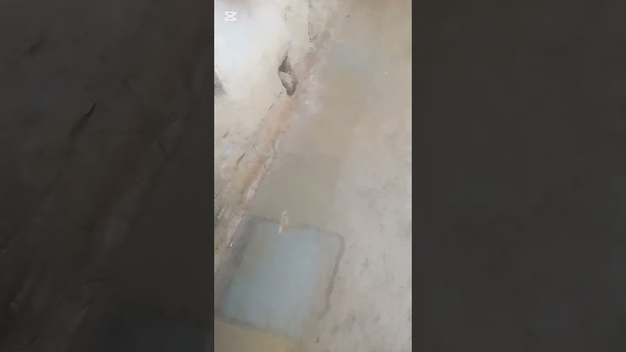 Haji malng baba dargah 👳🏻volg video 