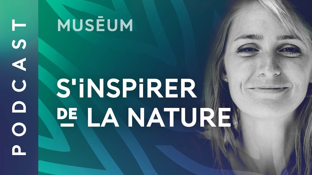 Biomimétisme : comprendre le vivant | Pour que nature vive