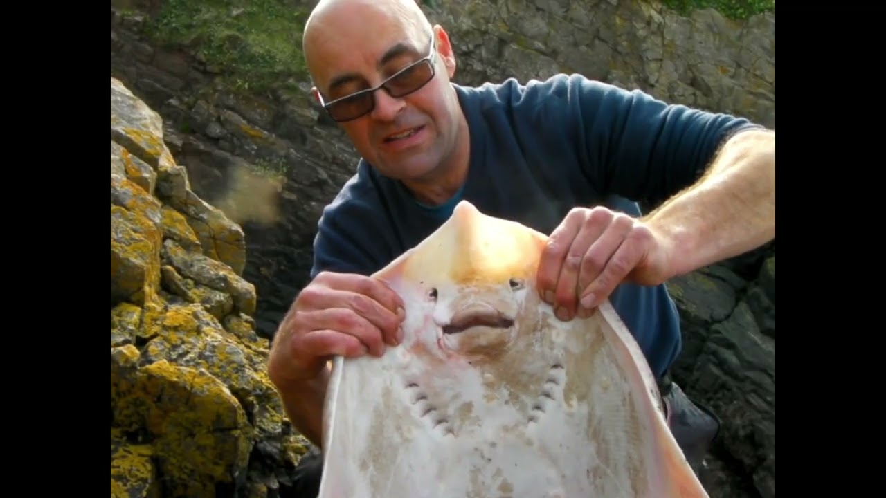 Solo Fishing Brean Down for Thornback Rays Part 2
