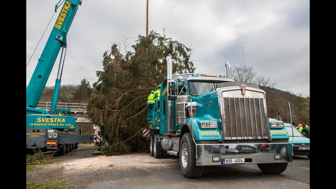 Vánoční strom pro Prahu 2017 - Pavel Švestka, s.r.o.