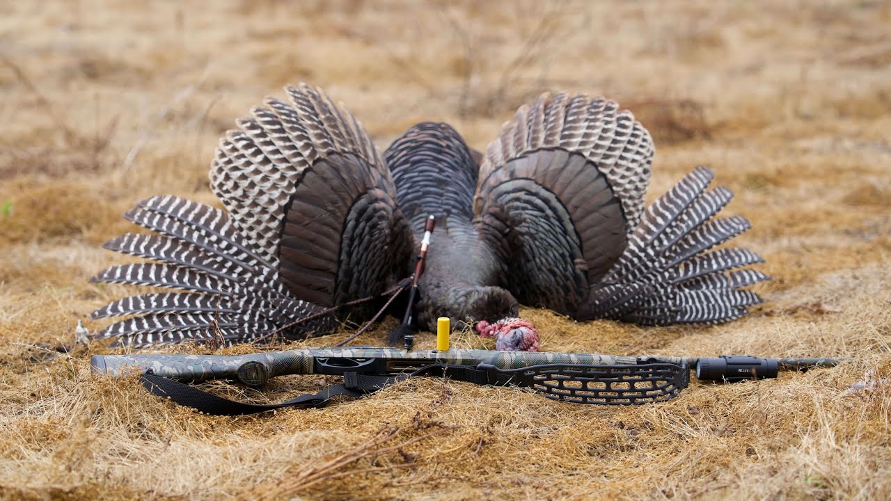 TURKEY SHOTGUN SETUP 2025/ Pattern Review