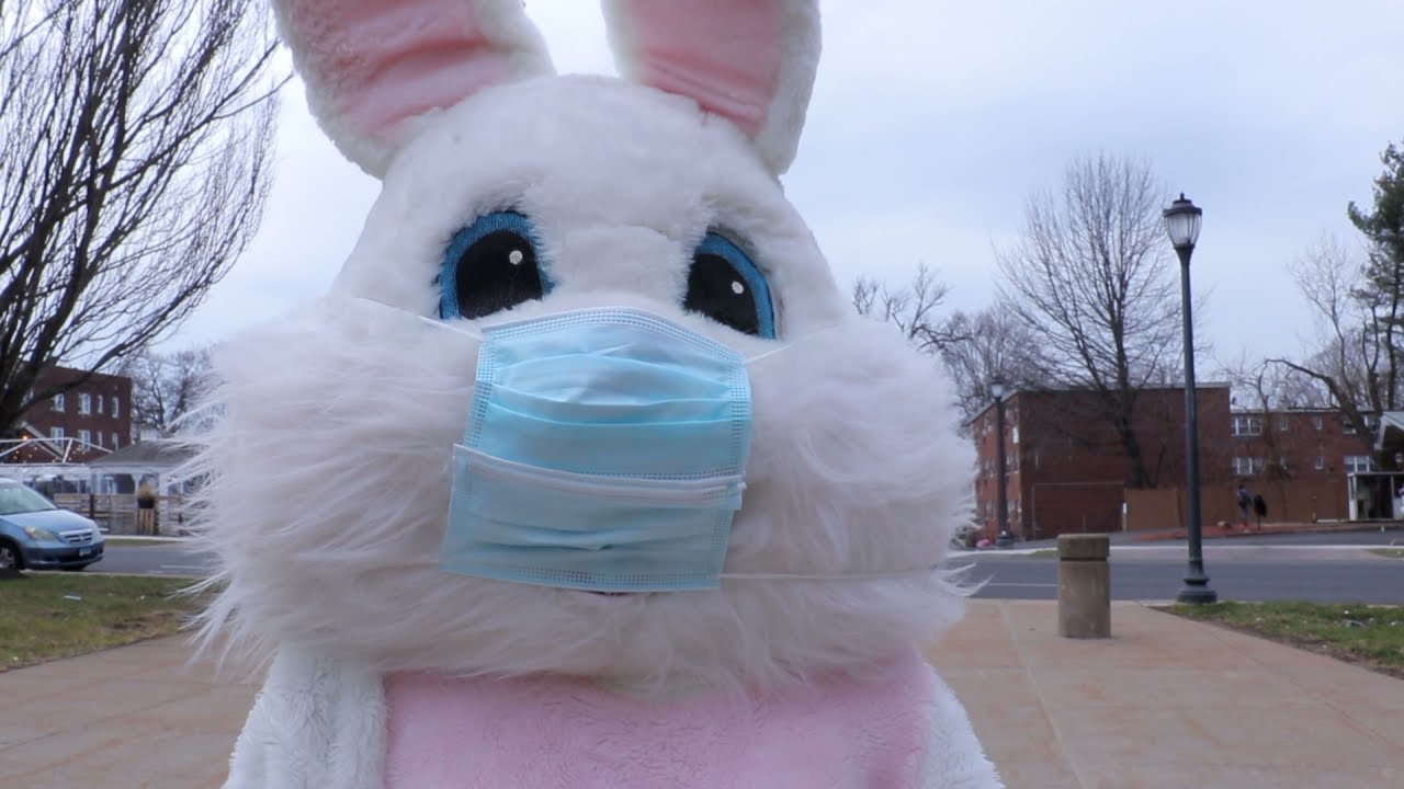 Easter Bunny Visits Connecticut Children's