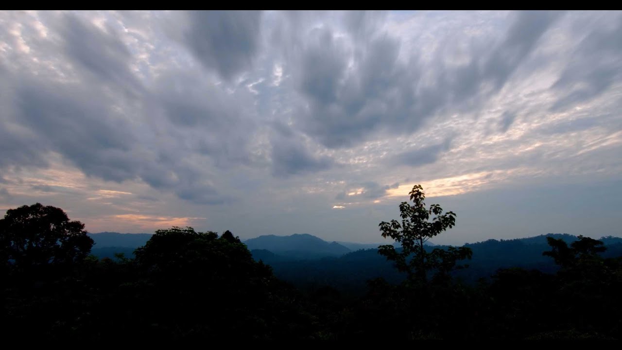 Living Landscapes Approach: Protect, Produce, Restore