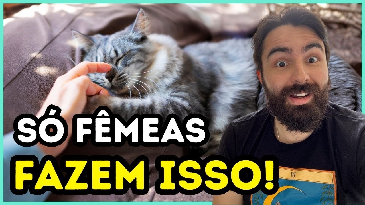 Só Gatas Fêmeas Fazem Isso... A Razão Vai TOCAR Seu Coração