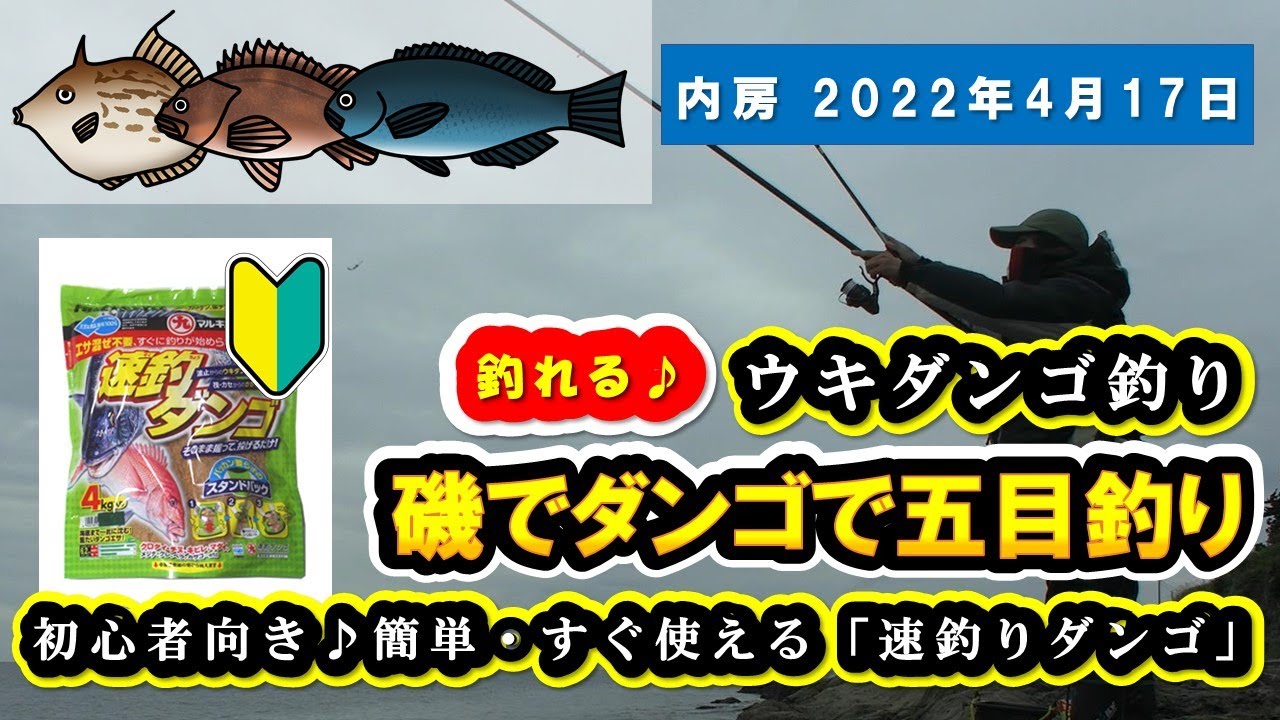 【千葉県 内房 ダンゴ釣り】5魚種釣れました!!地磯でダンゴを投げて五目釣り♪『カワハギ・カサゴ・ソイ・メジナ・ベラ』『団子釣り初心者向き 速釣りダンゴ使用』