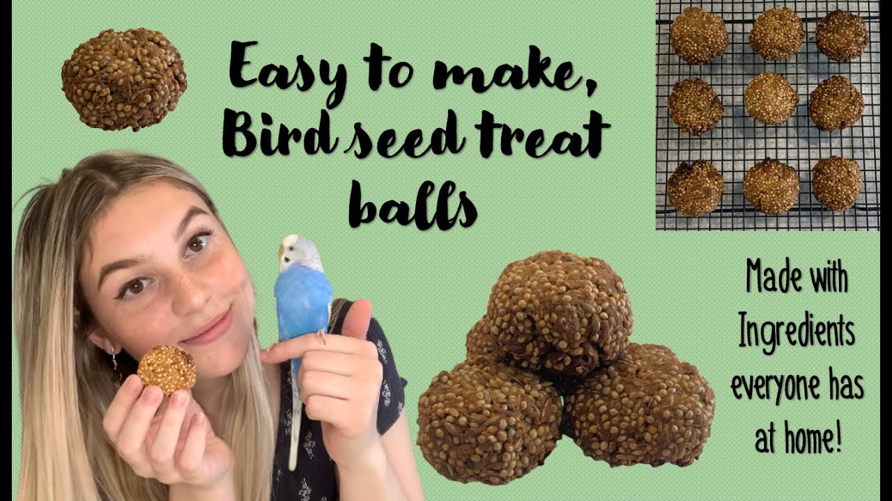 How to Make Bird Treats | Easy Seed Balls