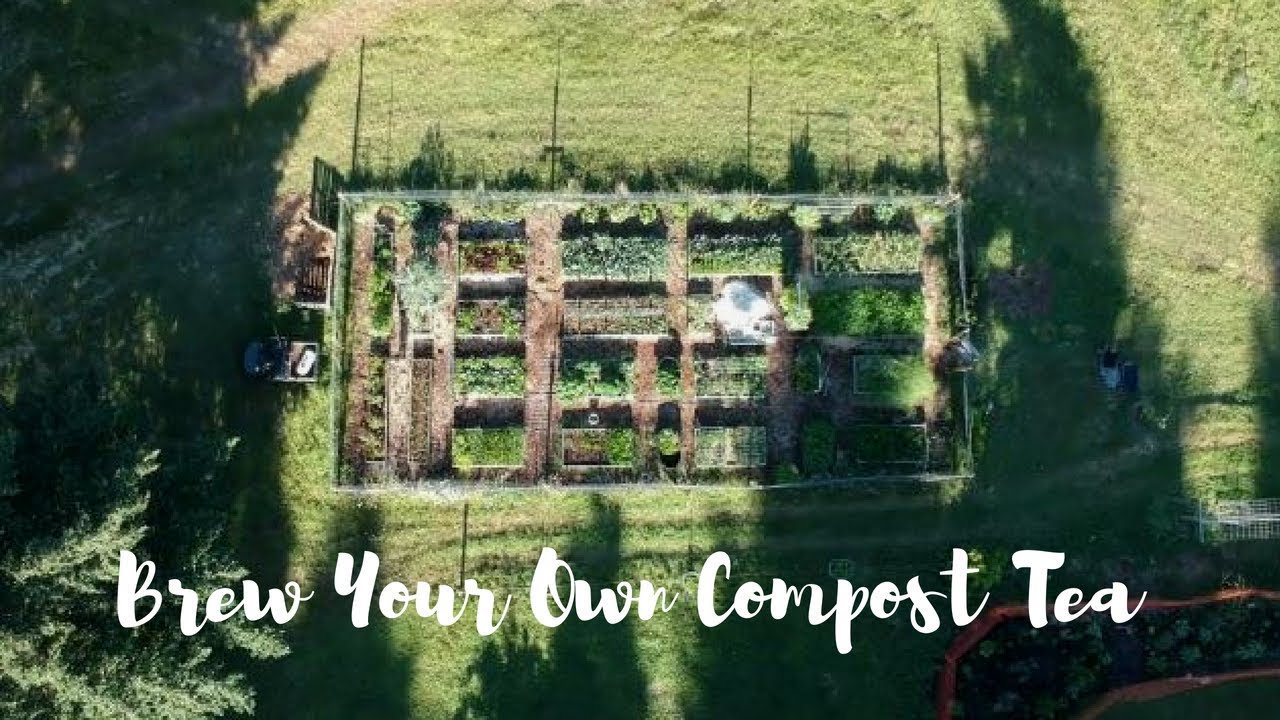 How To Brew and Apply Compost Tea