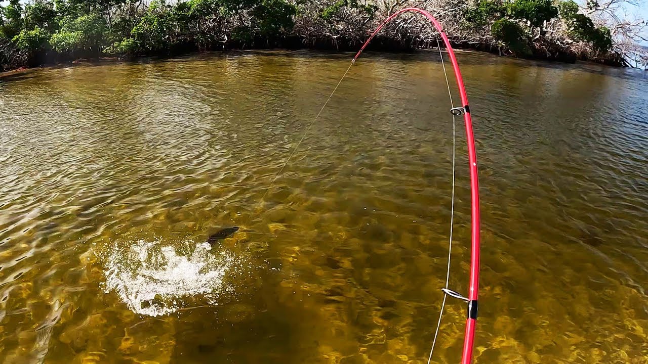 Explosive Shallow Fishing Slam! 2 Lures Did It All - No Bait Needed!