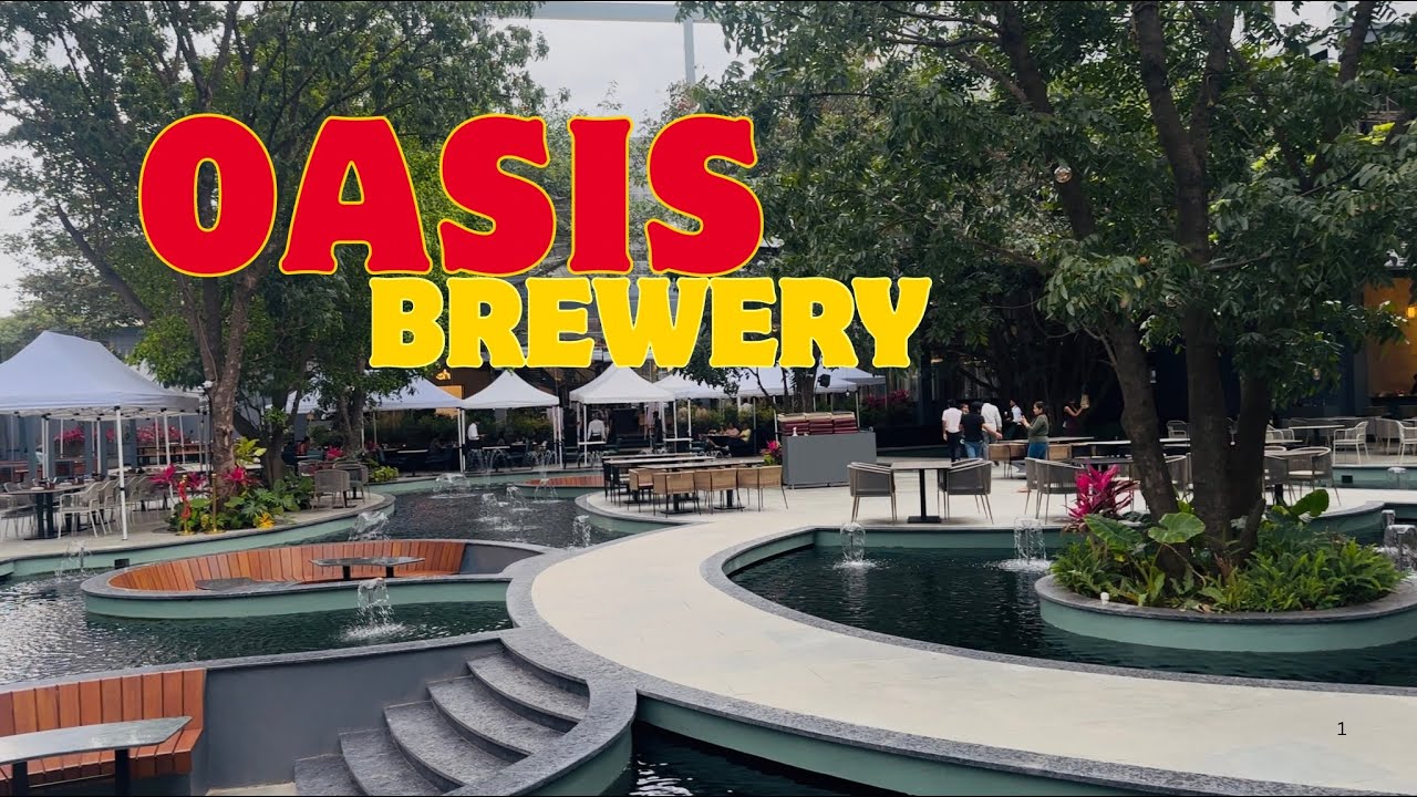Oasis Brewery Bangalore | Best Craft Beer & Vibe in the City! 🍻✨