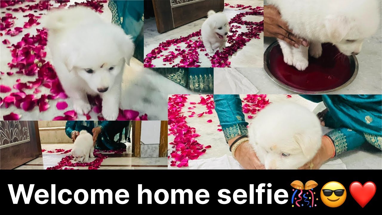 10/365 Days challenge ( Aaj selfie ghr aagya thik hokar)#viralvideo #viral #vlog #share #comment 
