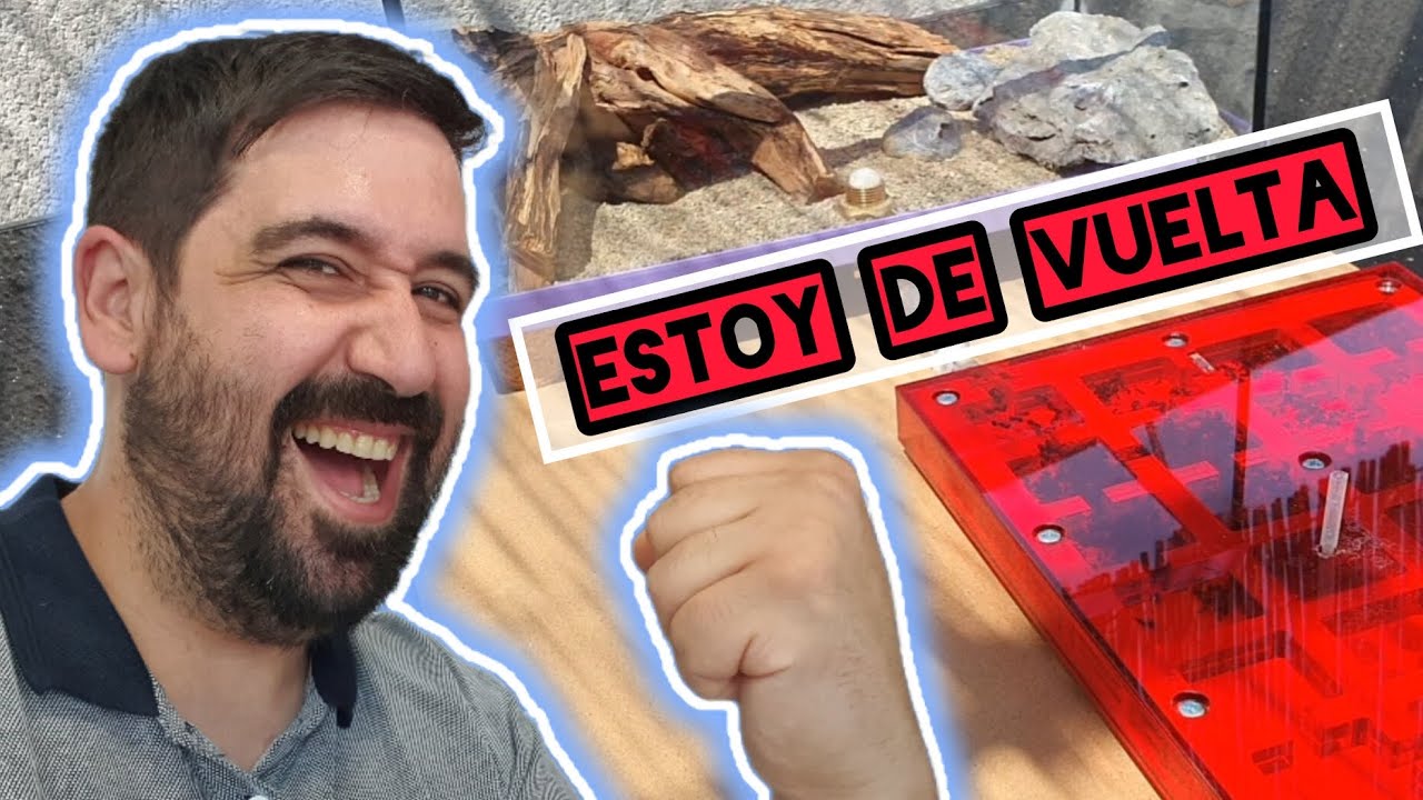 Preparamos un Forrajeo Natural y Damos la Bienvenida a mis NUEVAS HORMIGAS. 