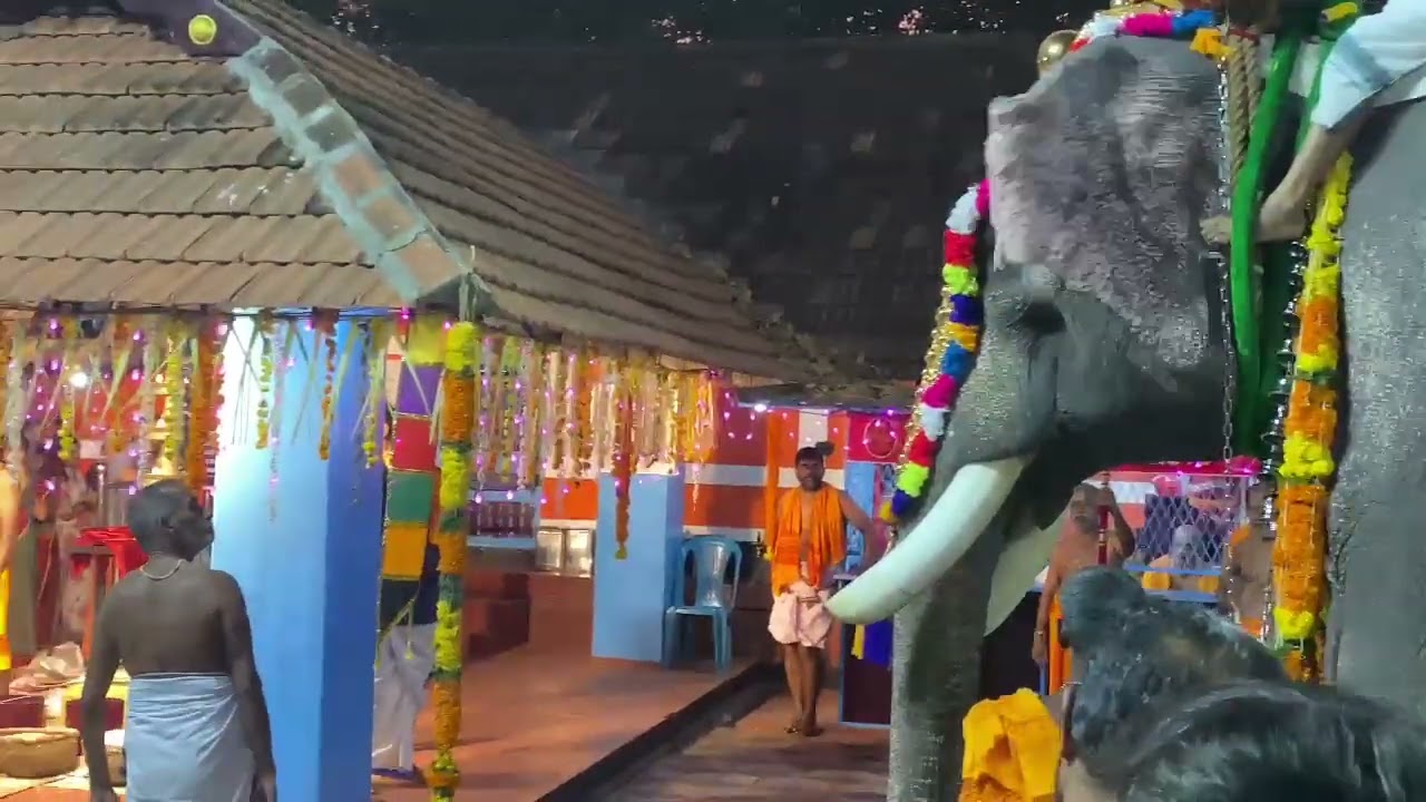 Mekkavu Bagavathi Kshethram##cherpu##thrissur ##youtube  video