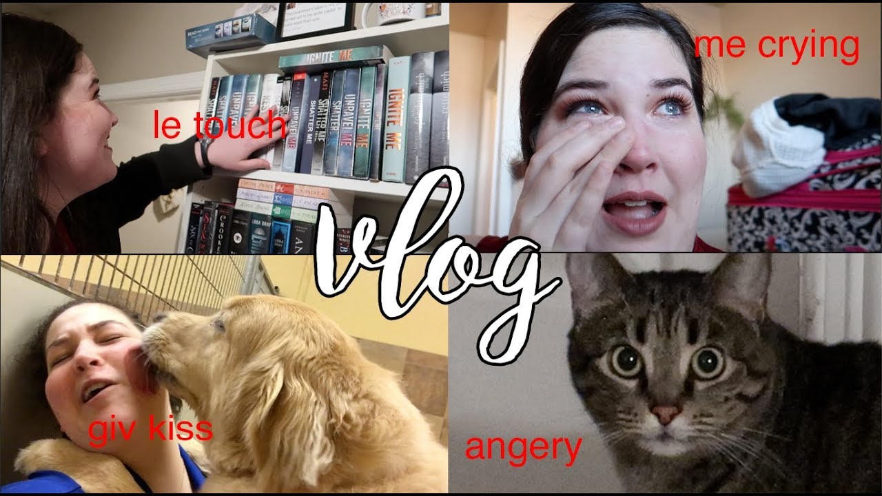 thanksgiving break dog vlog with no reading