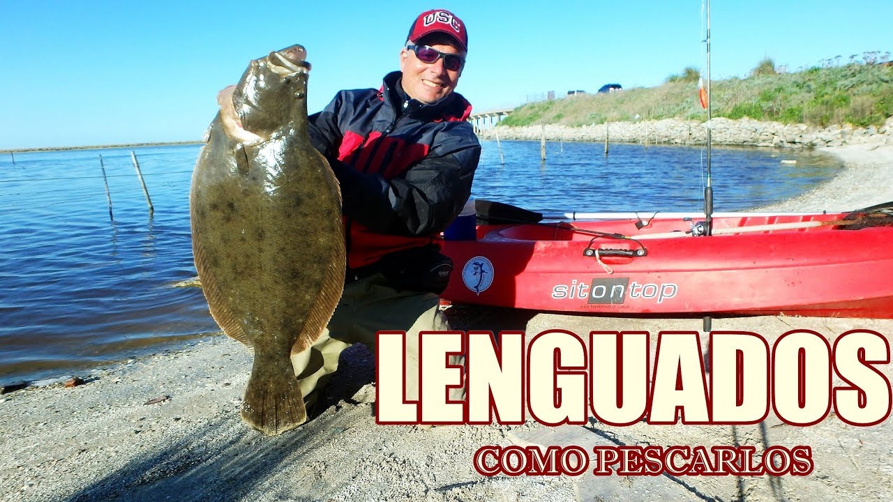 COMO ES EL PIQUE DEL LENGUADO, TÉCNICAS, EQUIPOS, CARNADA PARA SU PESCA